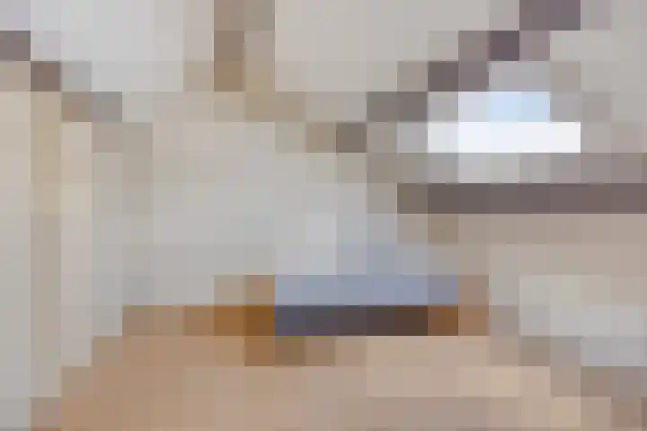 Mosheide 5 Wolvega thumbnail 18