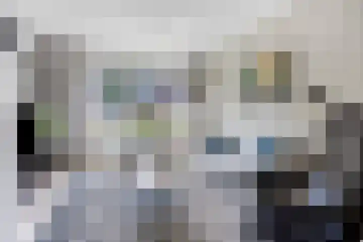 Mosheide 5 Wolvega foto 2