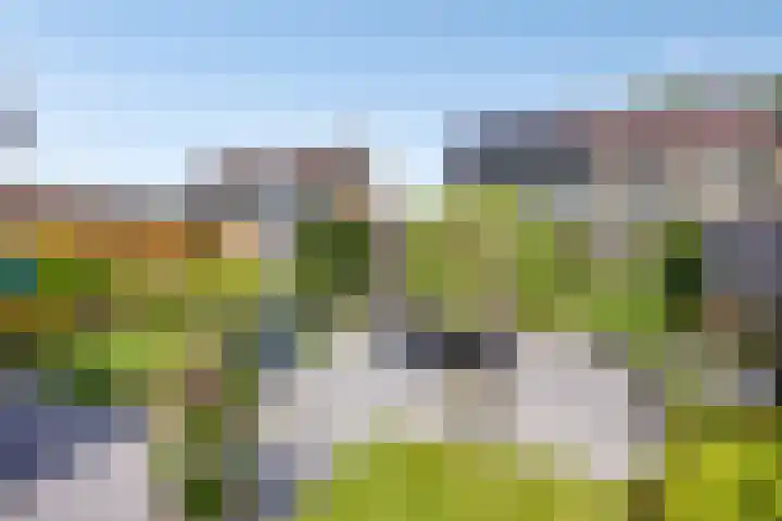 Mosheide 5 Wolvega thumbnail 20
