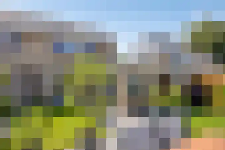 Mosheide 5 Wolvega thumbnail 23