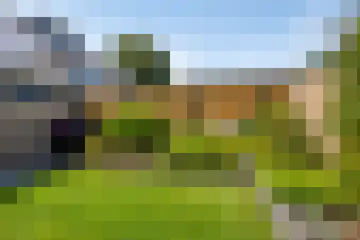 Mosheide 5 Wolvega thumbnail 24