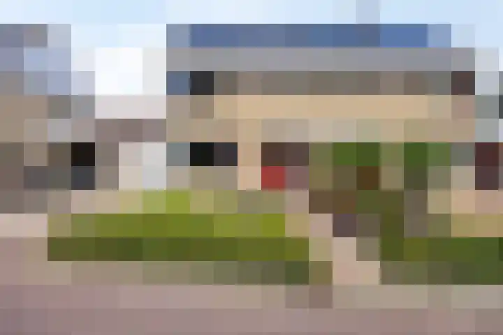 Mosheide 5 Wolvega thumbnail 26
