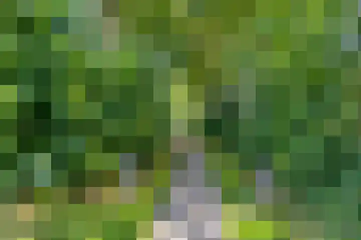 Mosheide 5 Wolvega thumbnail 28