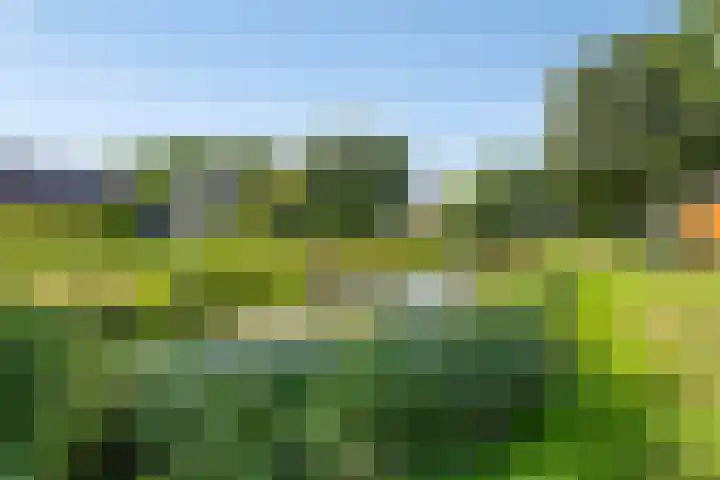 Mosheide 5 Wolvega thumbnail 29