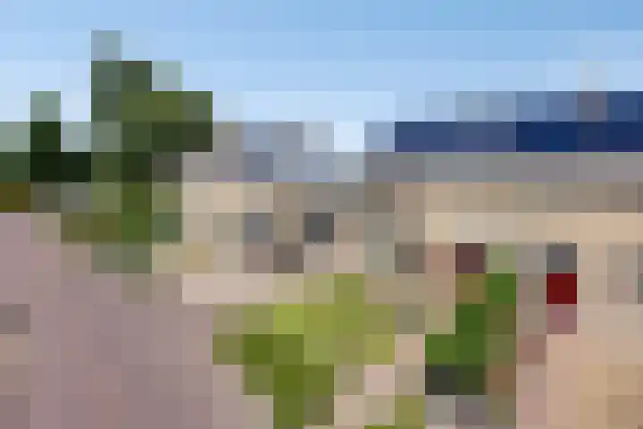 Mosheide 5 Wolvega thumbnail 30