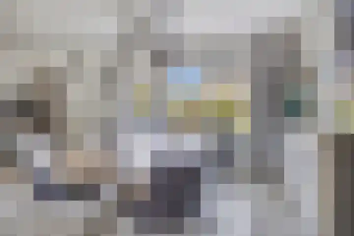 Mosheide 5 Wolvega thumbnail 5
