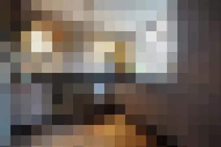 Moslaan 21 Ermelo thumbnail 13