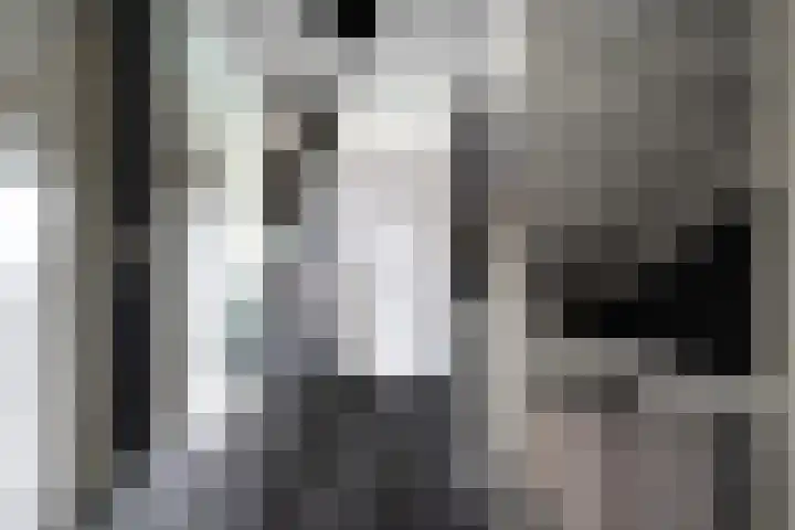 Moslaan 21 Ermelo thumbnail 23