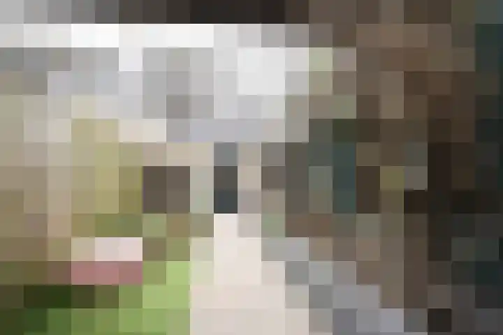 Moslaan 21 Ermelo thumbnail 49
