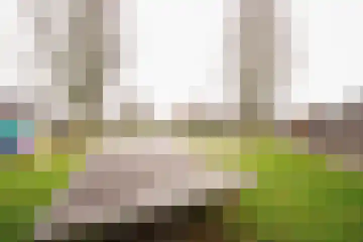 Moslaan 21 Ermelo thumbnail 53