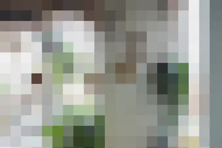 Moslaan 21 Ermelo thumbnail 8