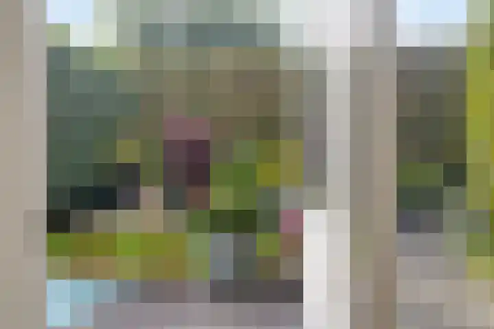 Moslaan 22 Arnhem thumbnail 14