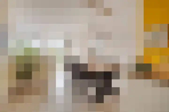 Moslaan 22 Arnhem thumbnail 15