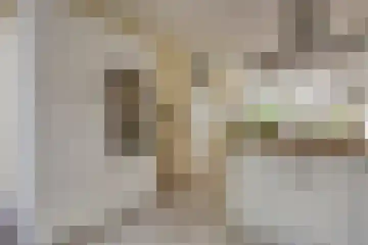 Moslaan 22 Arnhem thumbnail 20