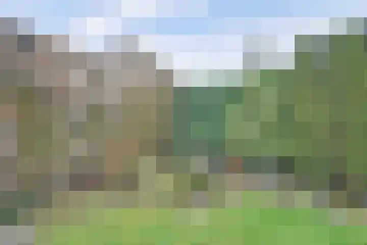 Moslaan 24 Arnhem thumbnail 43