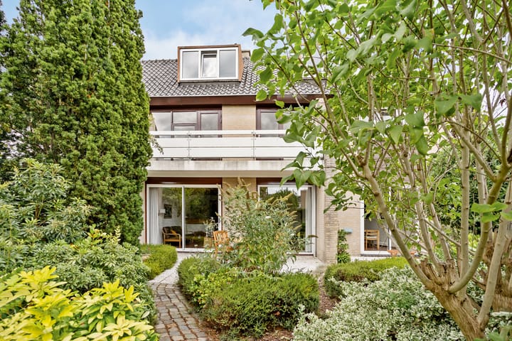 Mosroos 7 in Leiden foto