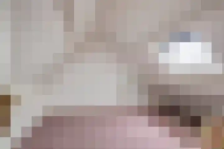 Mossel 2 Middenmeer thumbnail 14