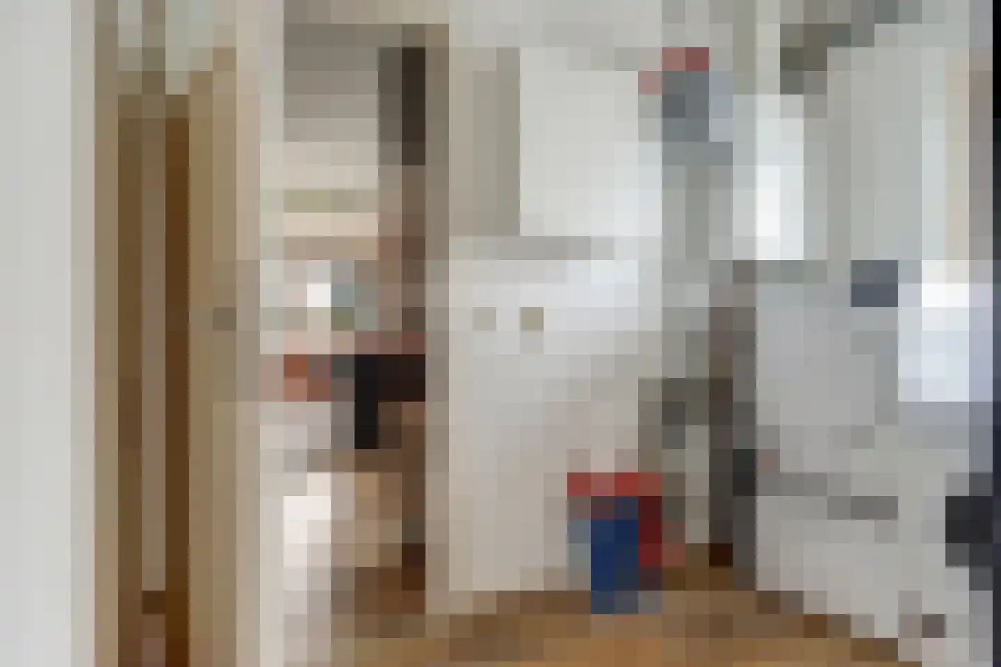 Mossel 2 Middenmeer thumbnail 15