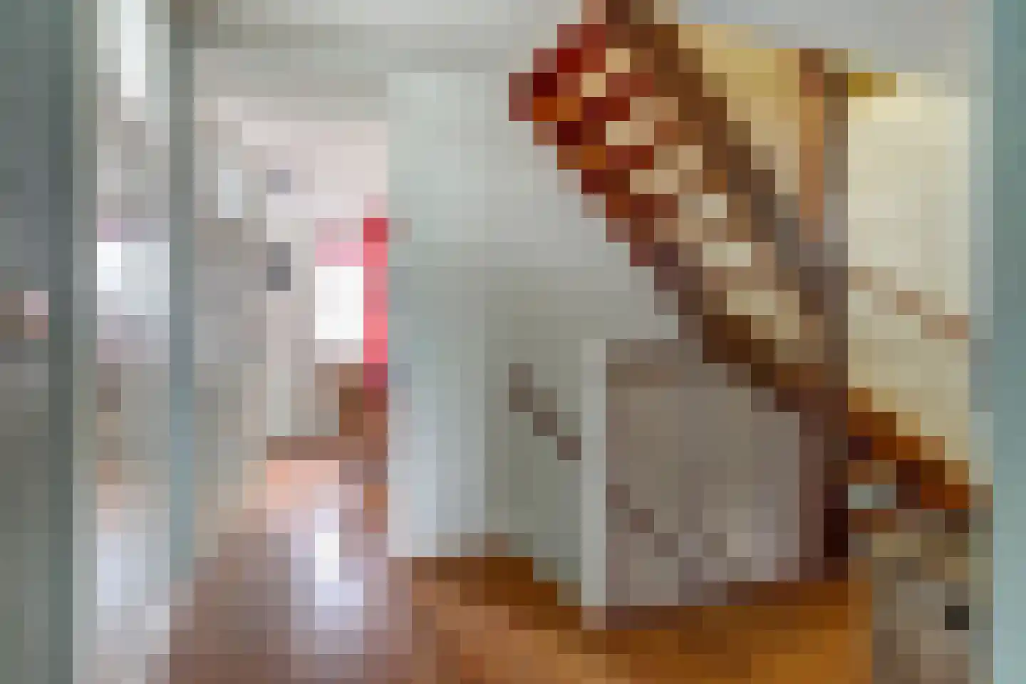 Mossel 2 Middenmeer thumbnail 18
