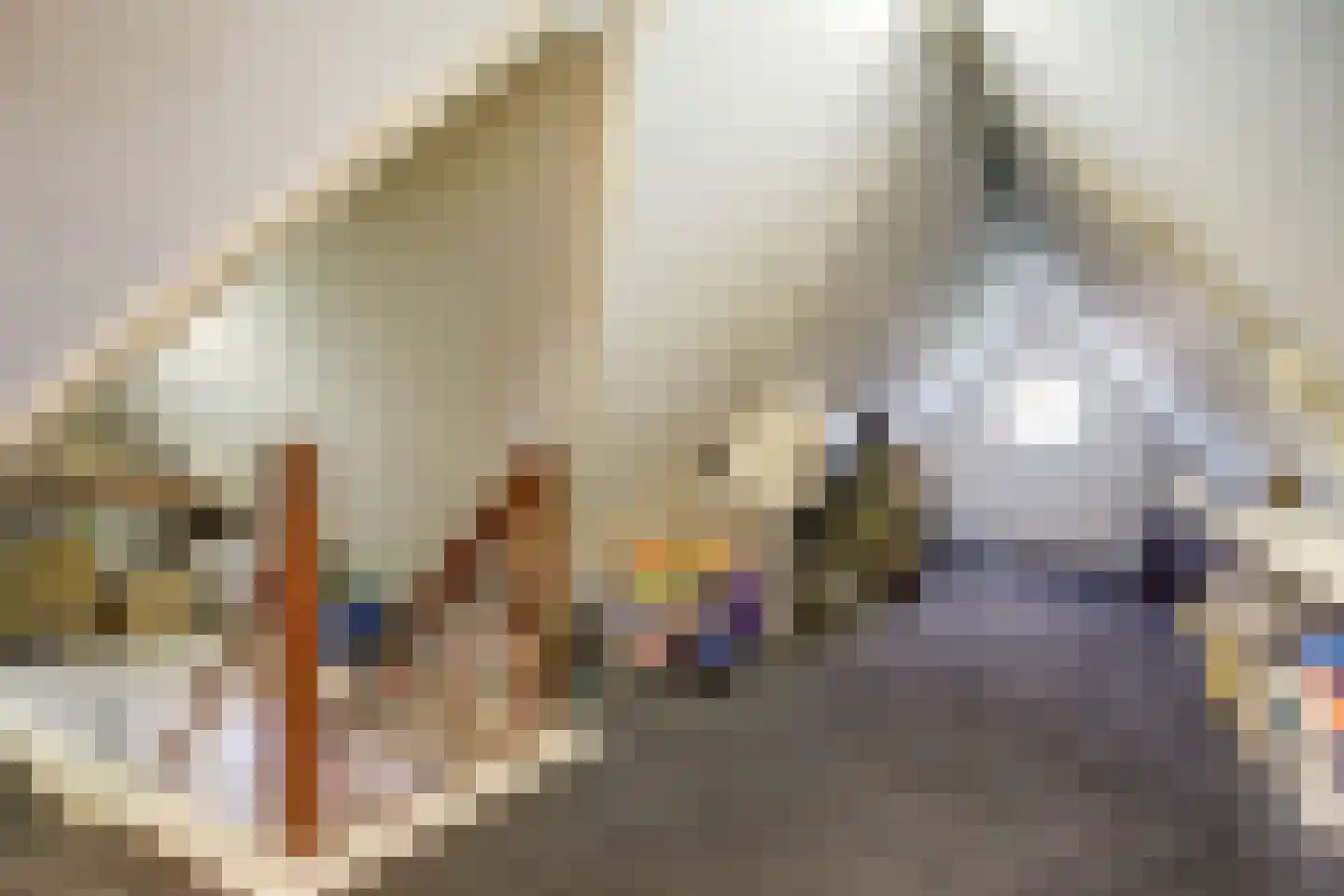 Mossel 2 Middenmeer thumbnail 30