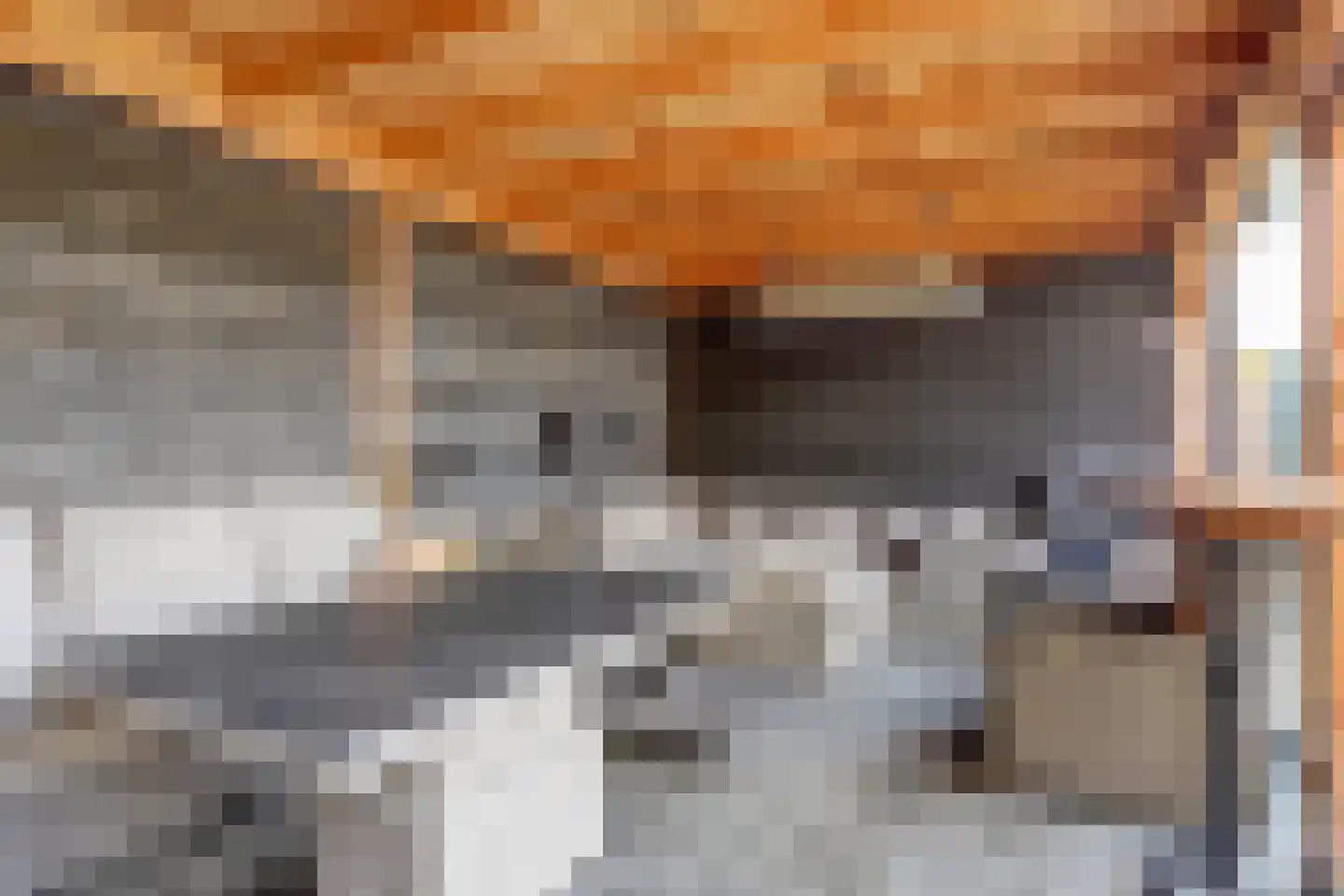 Mossel 2 Middenmeer thumbnail 34