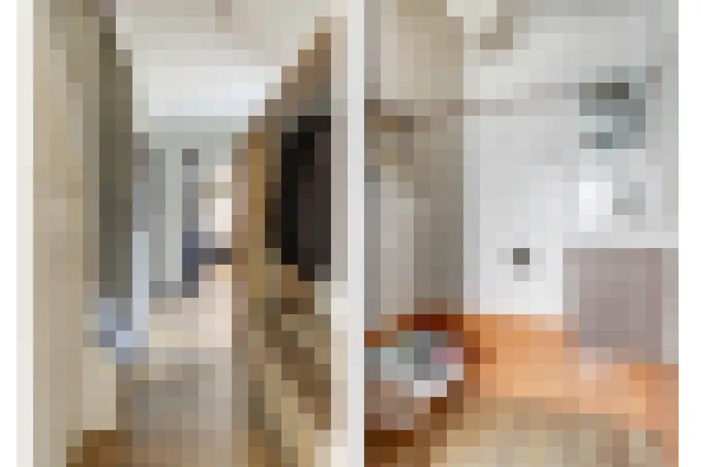 Mossel 2 Middenmeer thumbnail 7