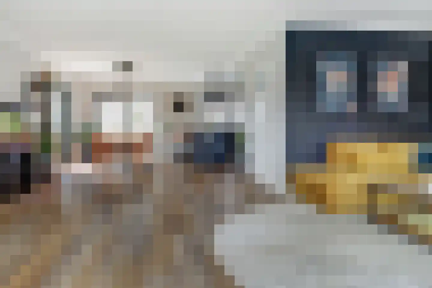 Mossel 2 Middenmeer thumbnail 9