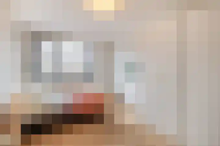 Mossel 49 Hellevoetsluis thumbnail 14