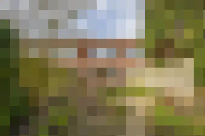Mossel 49 Hellevoetsluis thumbnail 23