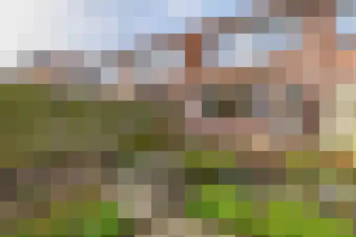 Mossel 49 Hellevoetsluis thumbnail 24