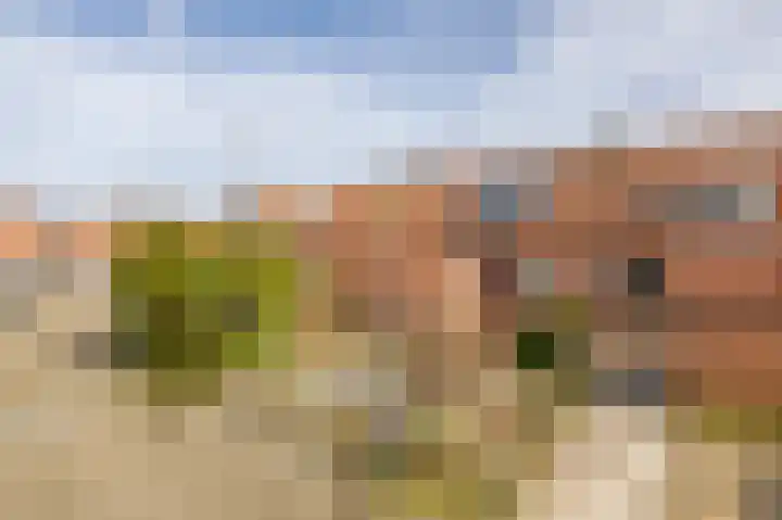 Mossel 49 Hellevoetsluis thumbnail 25