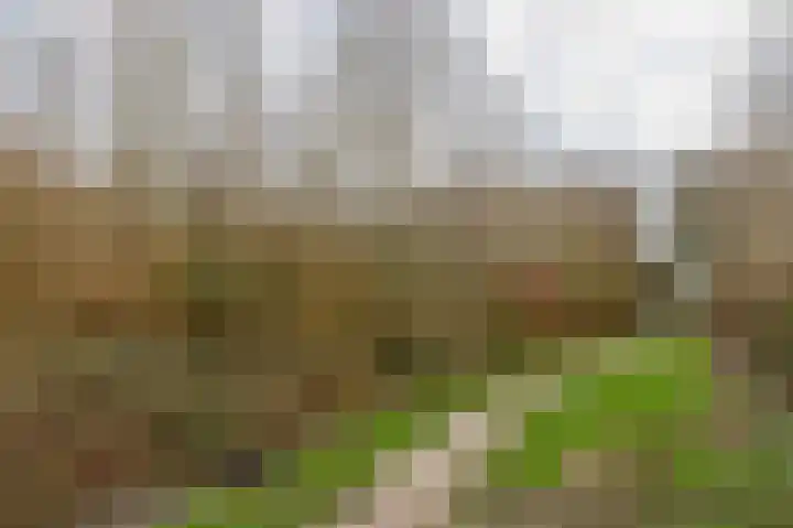 Mossel 49 Hellevoetsluis thumbnail 27