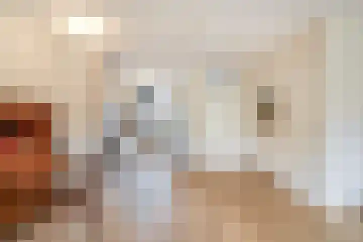 Mossel 49 Hellevoetsluis thumbnail 7