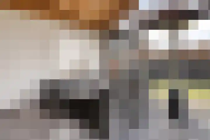 Mosselaarweg 2 Best thumbnail 10