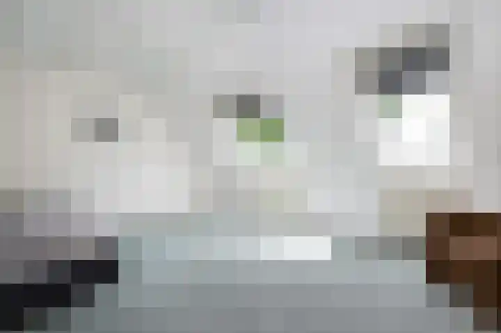 Mosselaarweg 2 Best thumbnail 16
