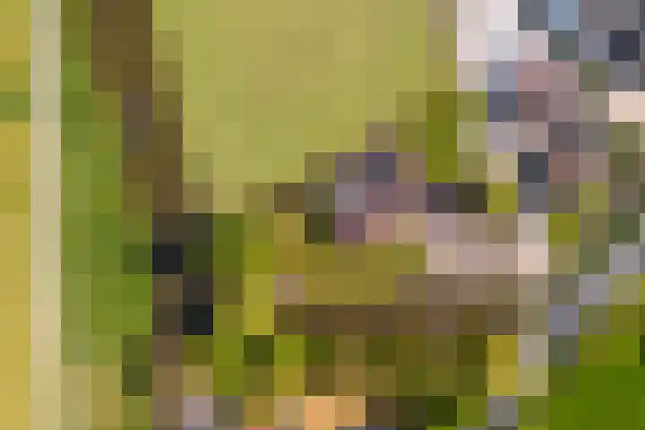 Mosselaarweg 2 Best thumbnail 22