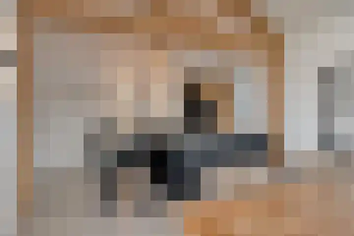 Mosselaarweg 2 Best thumbnail 23