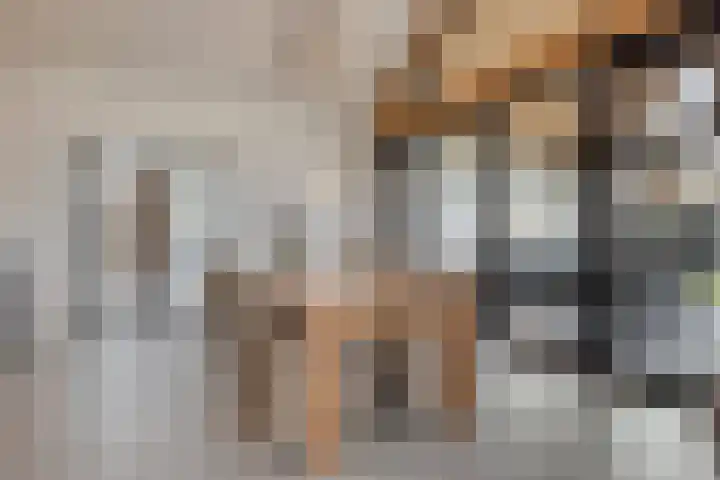 Mosselaarweg 2 Best thumbnail 27
