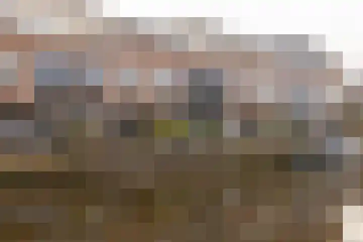 Mosselaarweg 2 Best thumbnail 33