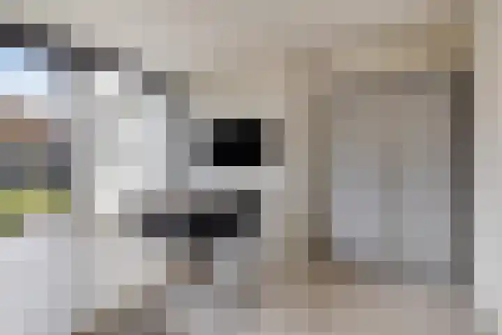Mosselaarweg 2 Best thumbnail 37
