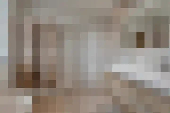 Mosselaarweg 2 Best thumbnail 44