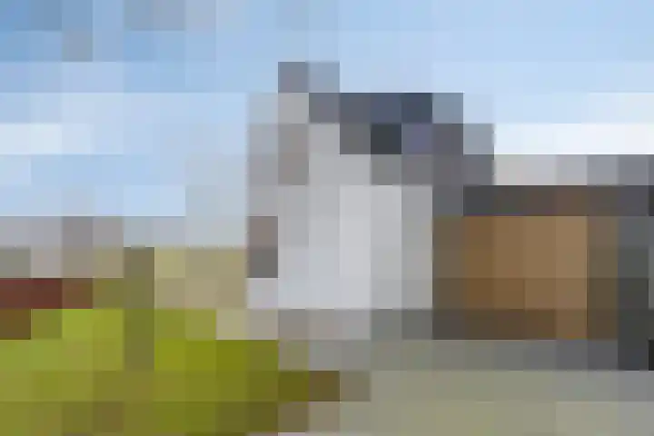 Mosselaarweg 2 Best thumbnail 6