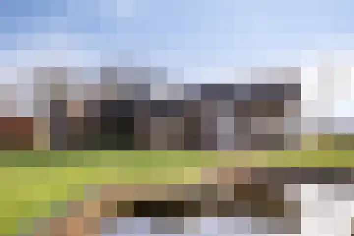 Mosselaarweg 2 Best thumbnail 63