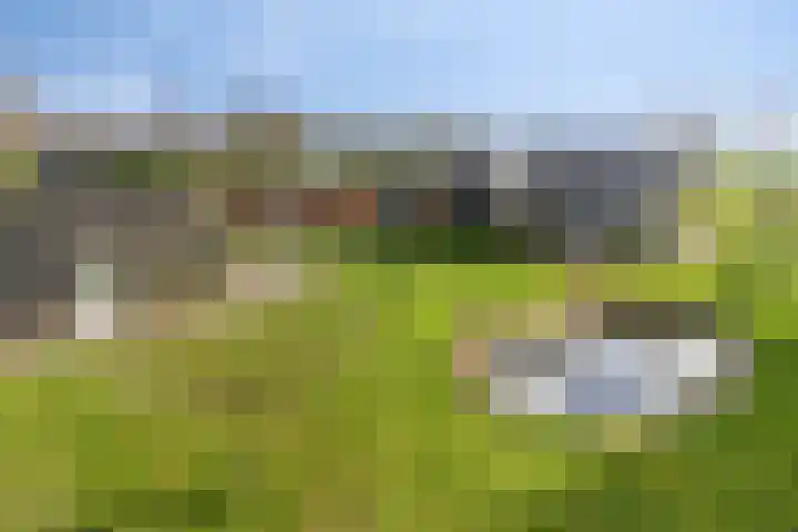 Mosselaarweg 2 Best thumbnail 64