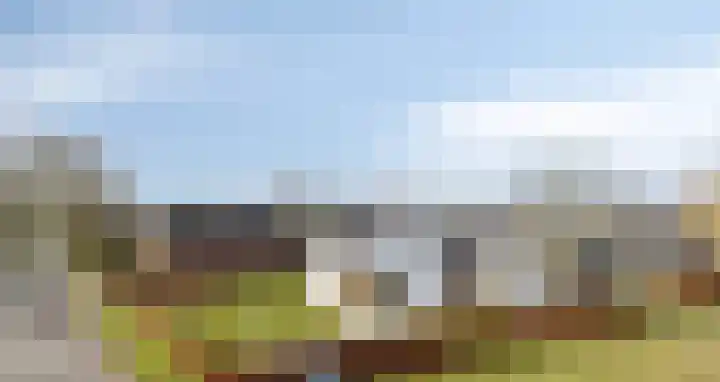Mosselaarweg 2 Best thumbnail 9