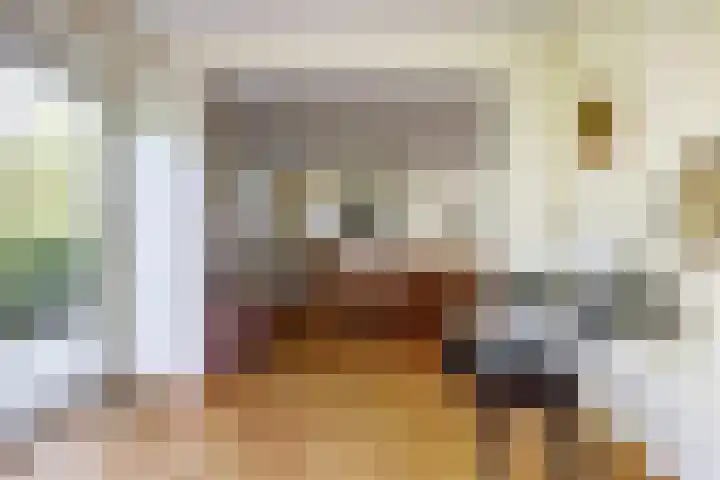 Mosselbank 11 Goes thumbnail 14