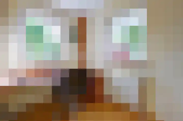 Mosselbank 11 Goes thumbnail 18