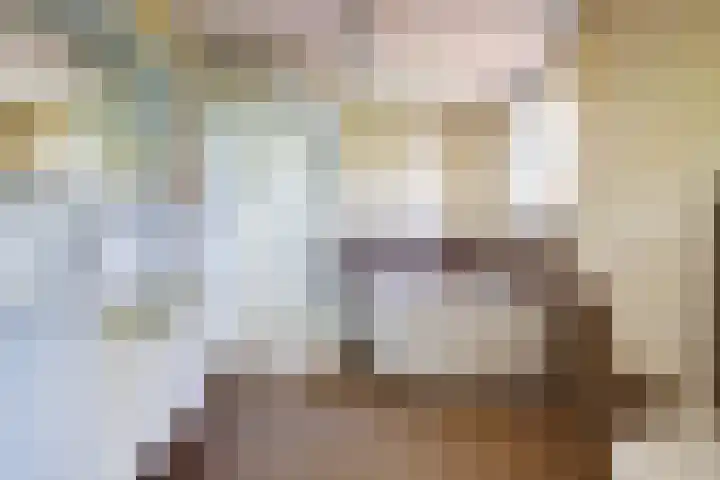 Mosselbank 11 Goes thumbnail 22