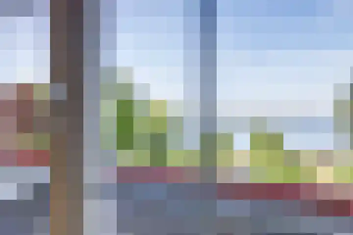 Mosselbank 11 Goes thumbnail 24