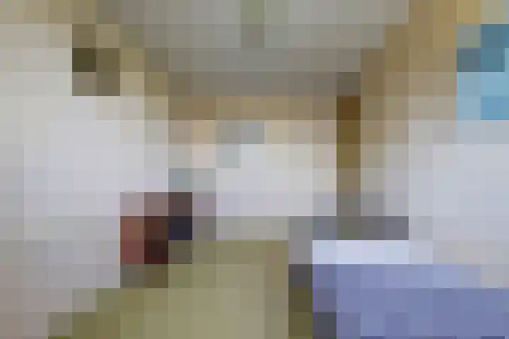 Mosselbank 11 Goes thumbnail 33